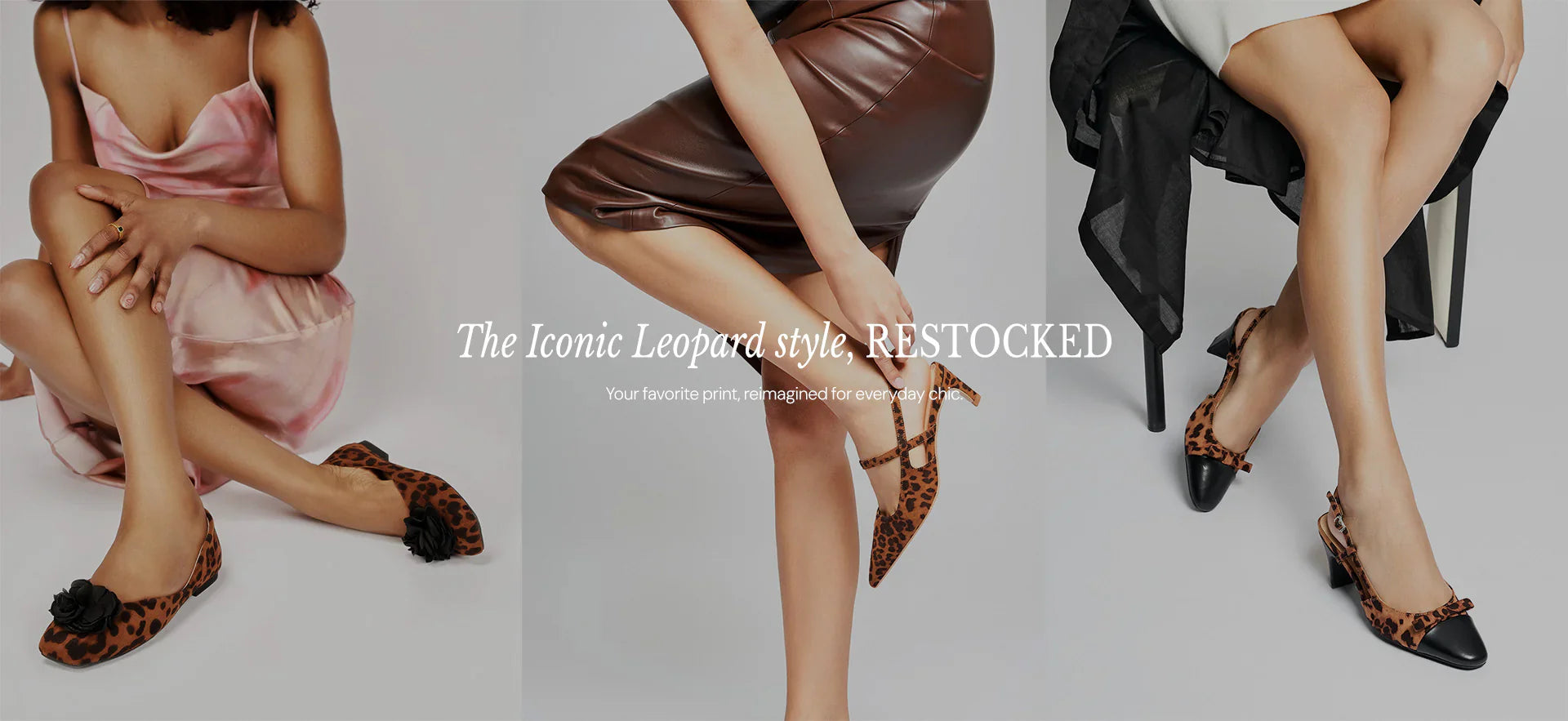 Leopard Theme