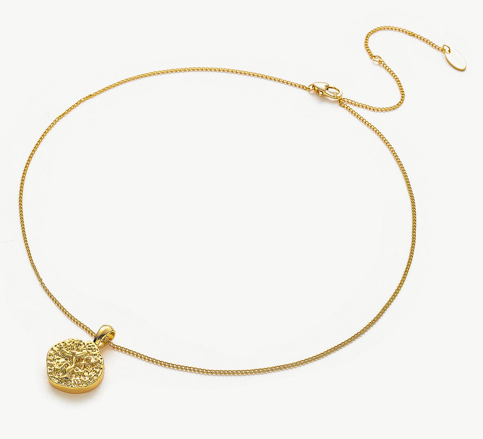 Stylish Disc Pendant Necklace, showcasing radiant hammered gold, this necklace features a textured disc pendant on a delicate chain, creating a refined and versatile accessory for any occasion