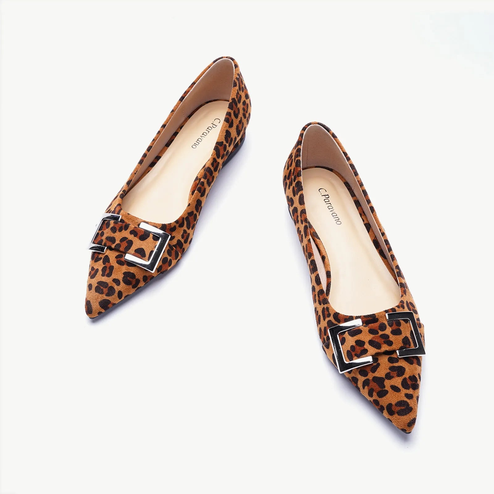 Metal Buckle Pointed Toe Flats (Aida)
